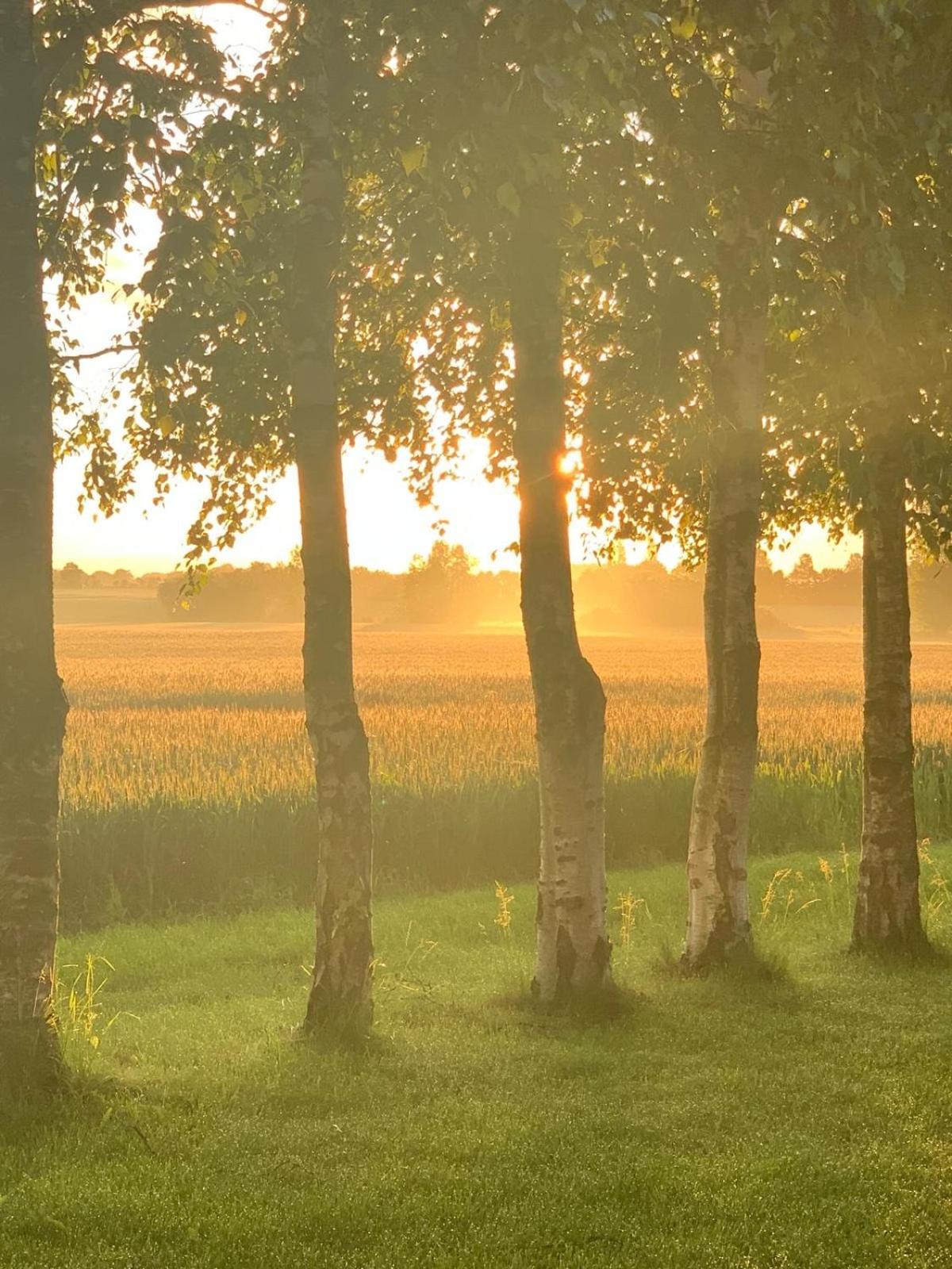 Romantic Luxus Glamping 3 Idestrup Экстерьер фото